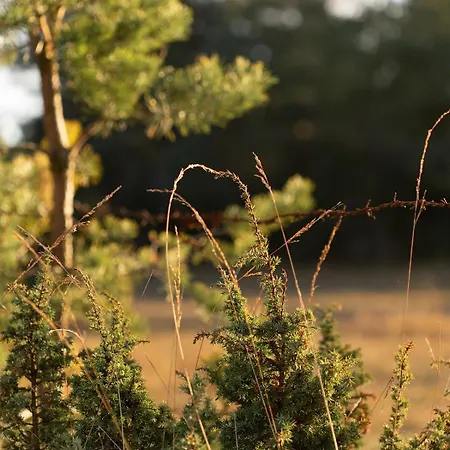 Semesterbostad Hoia Nature Nässuma