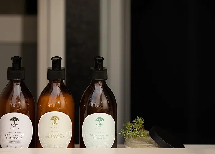 Hoia Nature Casa de Férias Nässuma