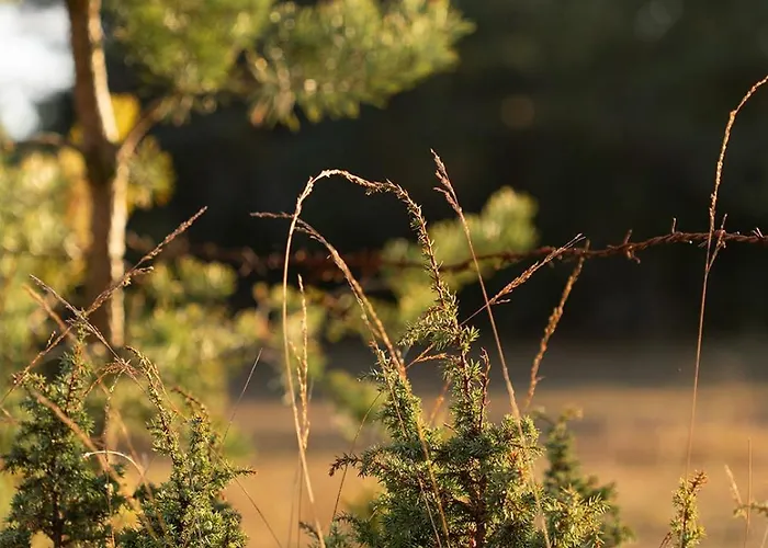 Prázdninový dům Hoia Nature Nässuma